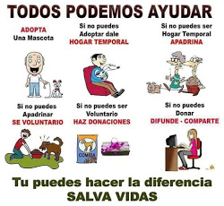 Adopta, Acoge, Difunde... Simplemente, ayuda!