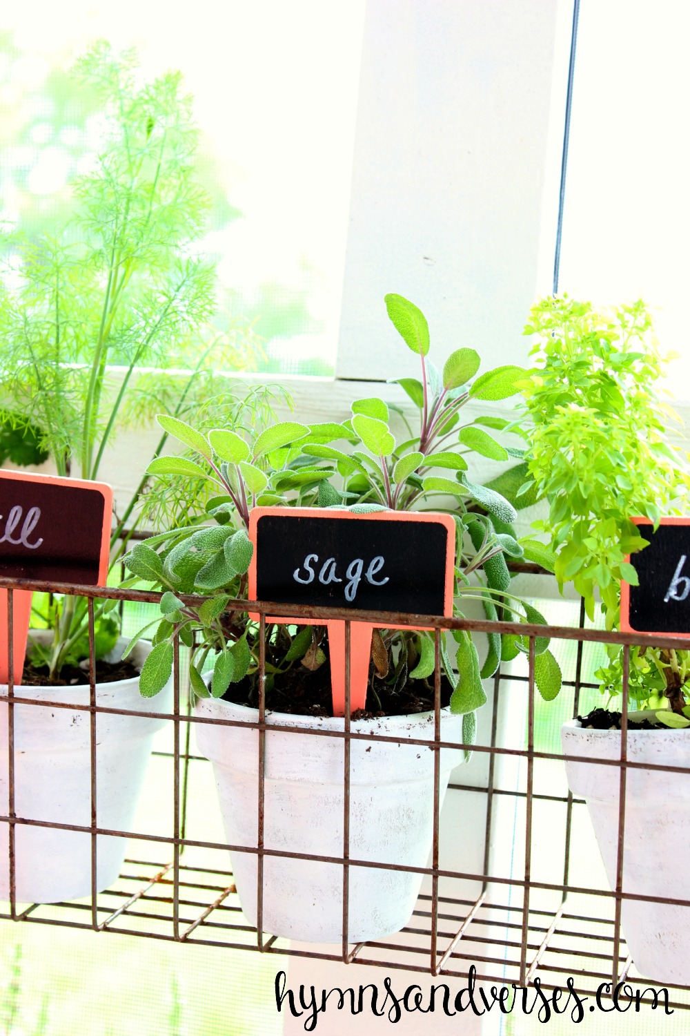 Screen Porch Hanging Basket Herb Garden Hymns and Verses