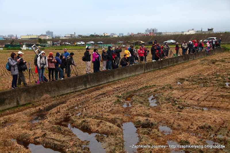 竹北燒王船/竹北大眉帝君宮關帝聖君/竹北大眉南天府帝君宮王船