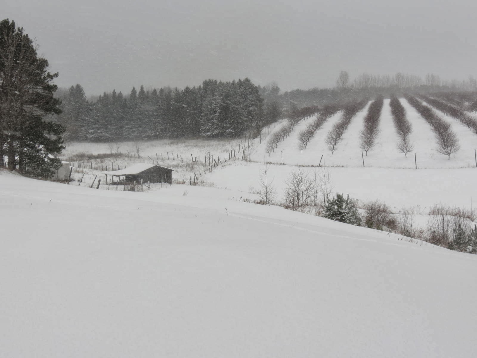 Books in Northport A Raging Blizzard in My Head as Year�s End Nears