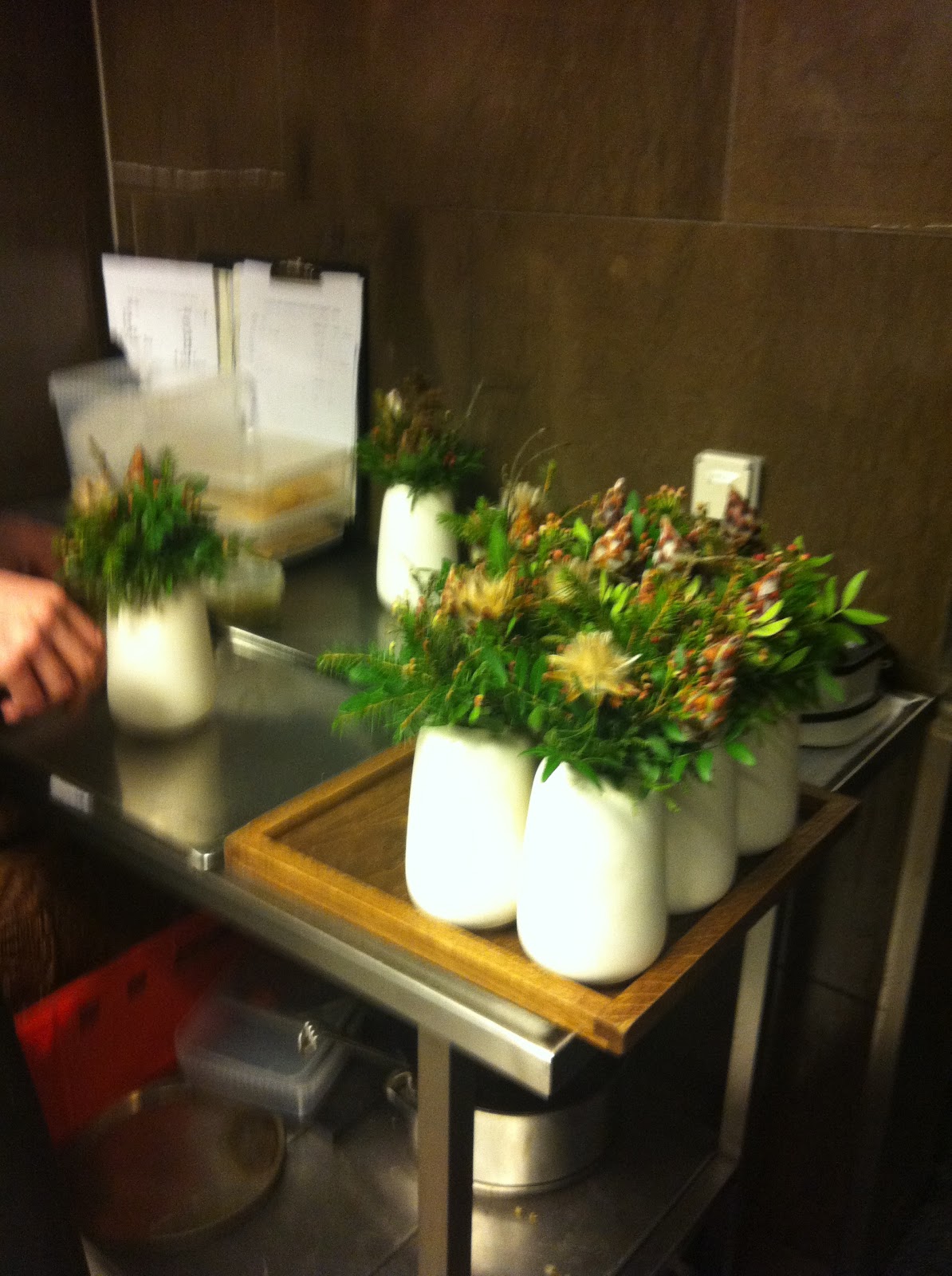 Edo Ergo Sum Noma A Work Still In Progress