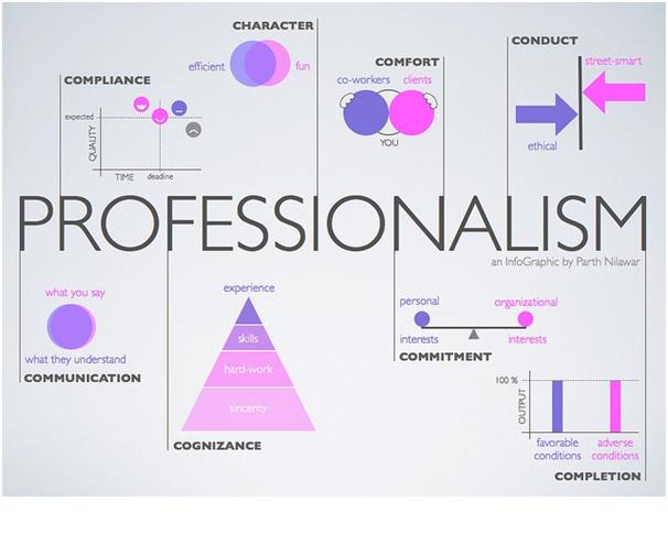 Biro Profesional ASTRA WHAT IS PROFESSIONAL BEHAVIOUR