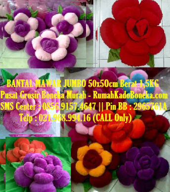 rumah kado boneka bantal mawar jumbo 50x50cm pusat rumah kado boneka bantal mawar jumbo 50x50cm pusat