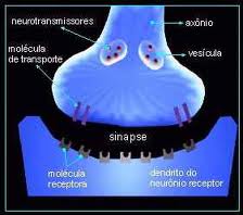 Cura de impotência em homens