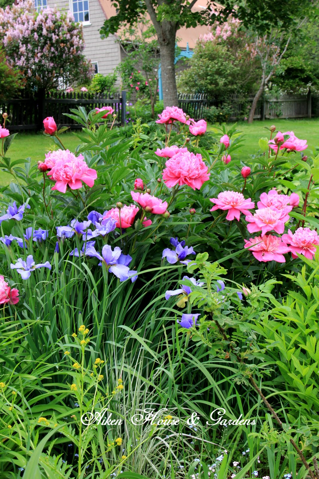 Aiken House & Gardens Weekend Garden Tour