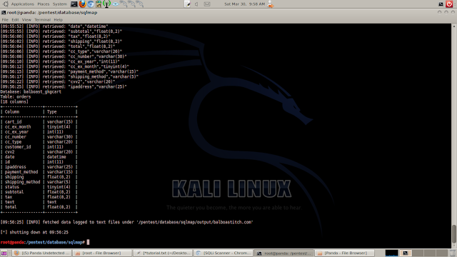sql injection tool get cc cvv dumps sql injection tool get cc cvv dumps