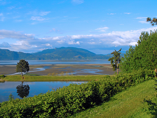 Samish Island Real Estate For Sale Samish Island Real Estate For Sale