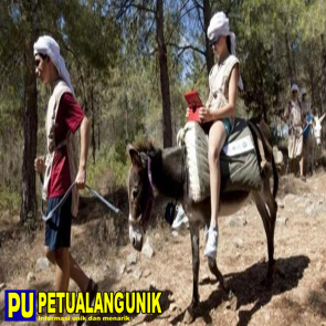 Di Israel, Keledai Dijadikan wi-fi Bergerak Di Israel, Keledai Dijadikan wi-fi Bergerak