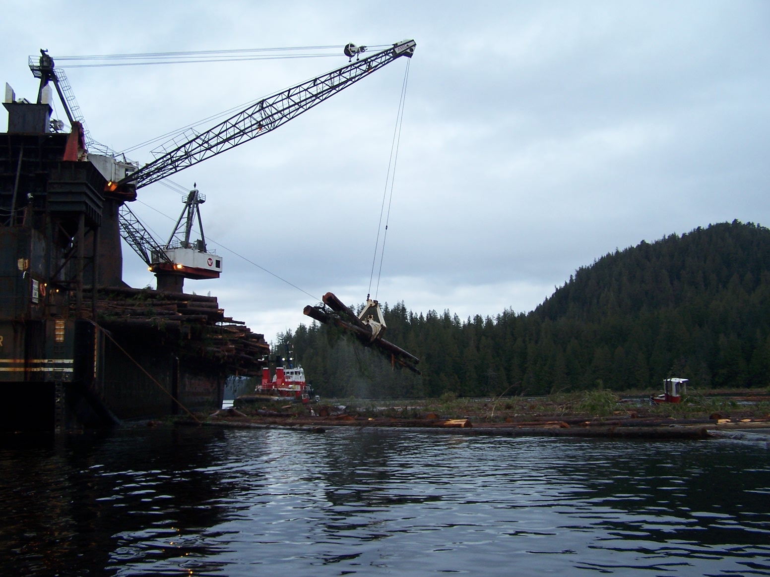 life on the inlet Heli logging
