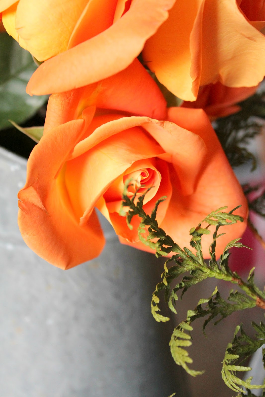 Can't Go Wrong with Roses Rusty Hinge