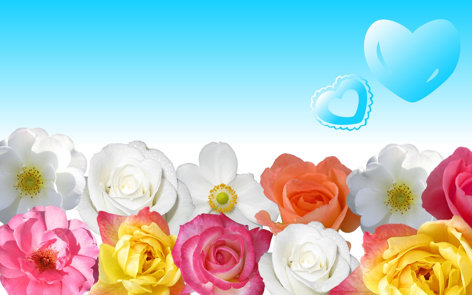 http://4.bp.blogspot.com/-MwU6AFKGm4I/TZCqtxAQReI/AAAAAAAAA-M/AKSXyPkWJDA/s1600/Hp+Laptop+wallpaper++13.jpg