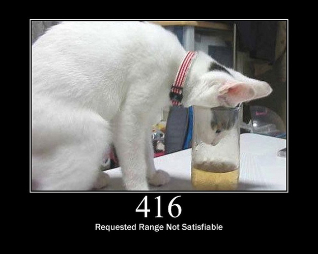 HTTP Status Cats HTTP Status Codes Illustrated by Cats