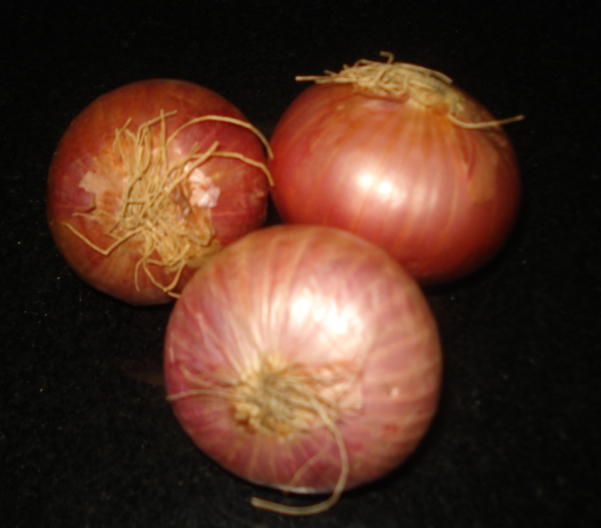 arbi vegetable in malayalam