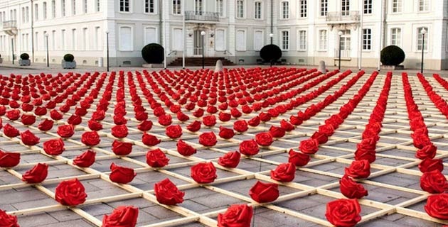 1000 Red Roses Quotes in Germany 1000 Roses for Zweibrücken