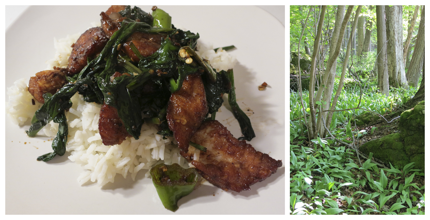 The Foraged Foodie Spicy Black Bean Fish with Foraged Ramps Recipe