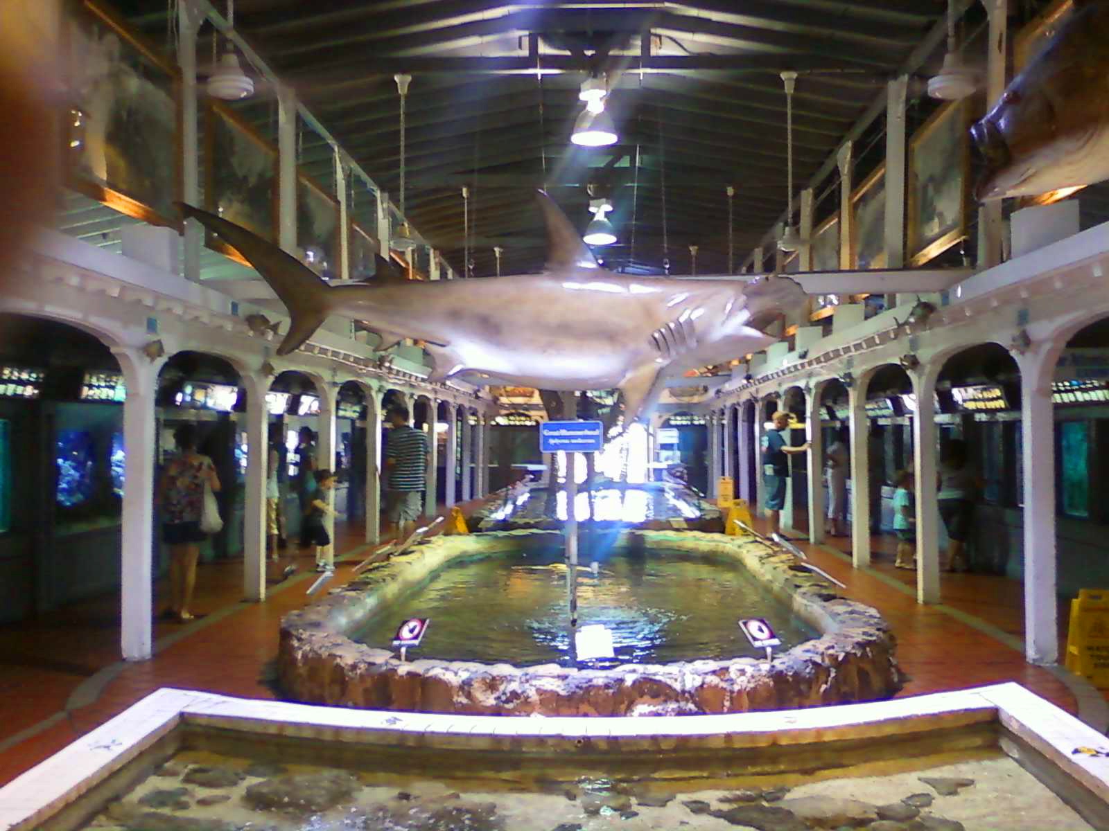 What Was I Thinking? Key West Aquarium Quaint, Cozy, Educational, Fun!