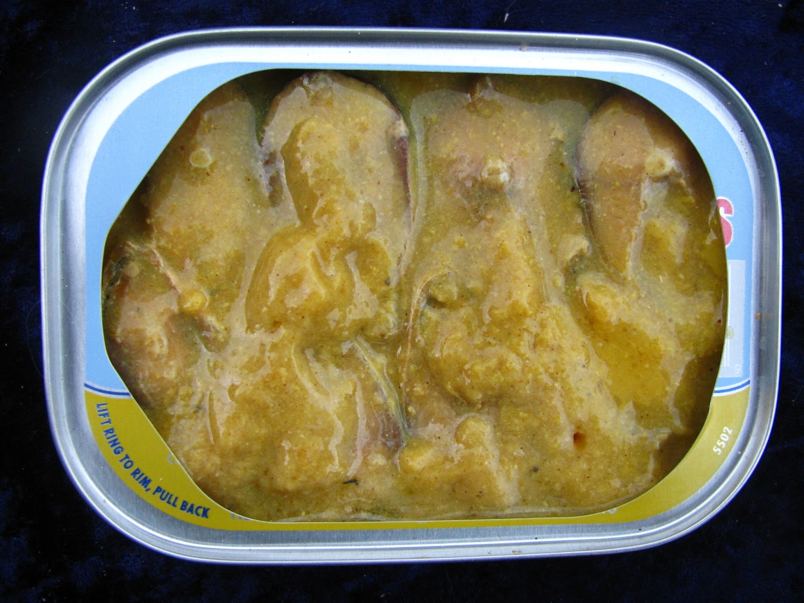 Mouth Full of Sardines Beach CliffSardines