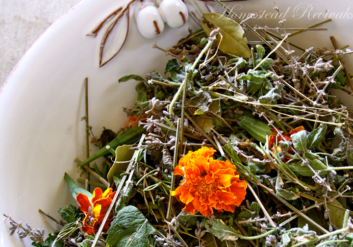 Homestead Revival Chicken Coop Potpourri!