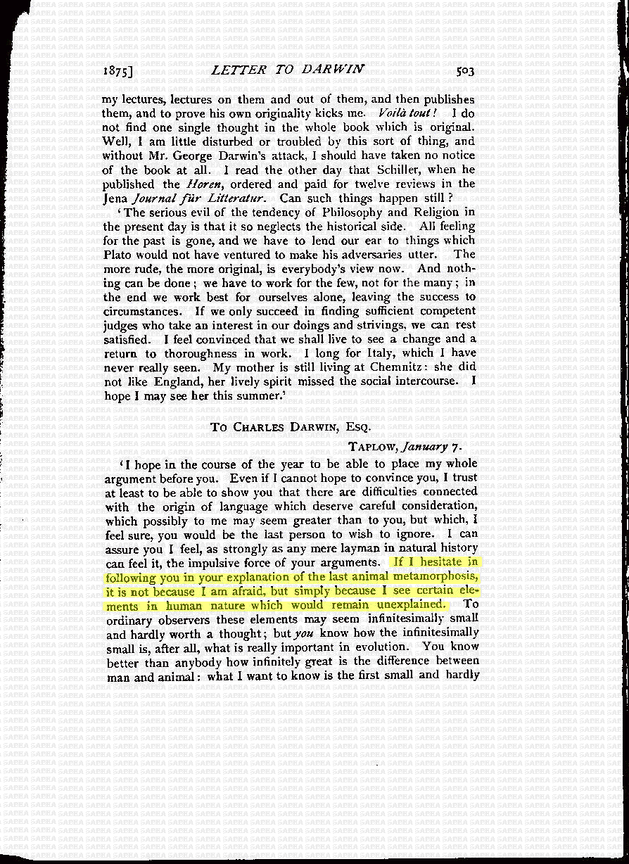 Darwin3Jan1875Vol1Pg503.gif