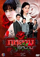 Hoa Hồng Có Gai Hoa Hồng Có Gai