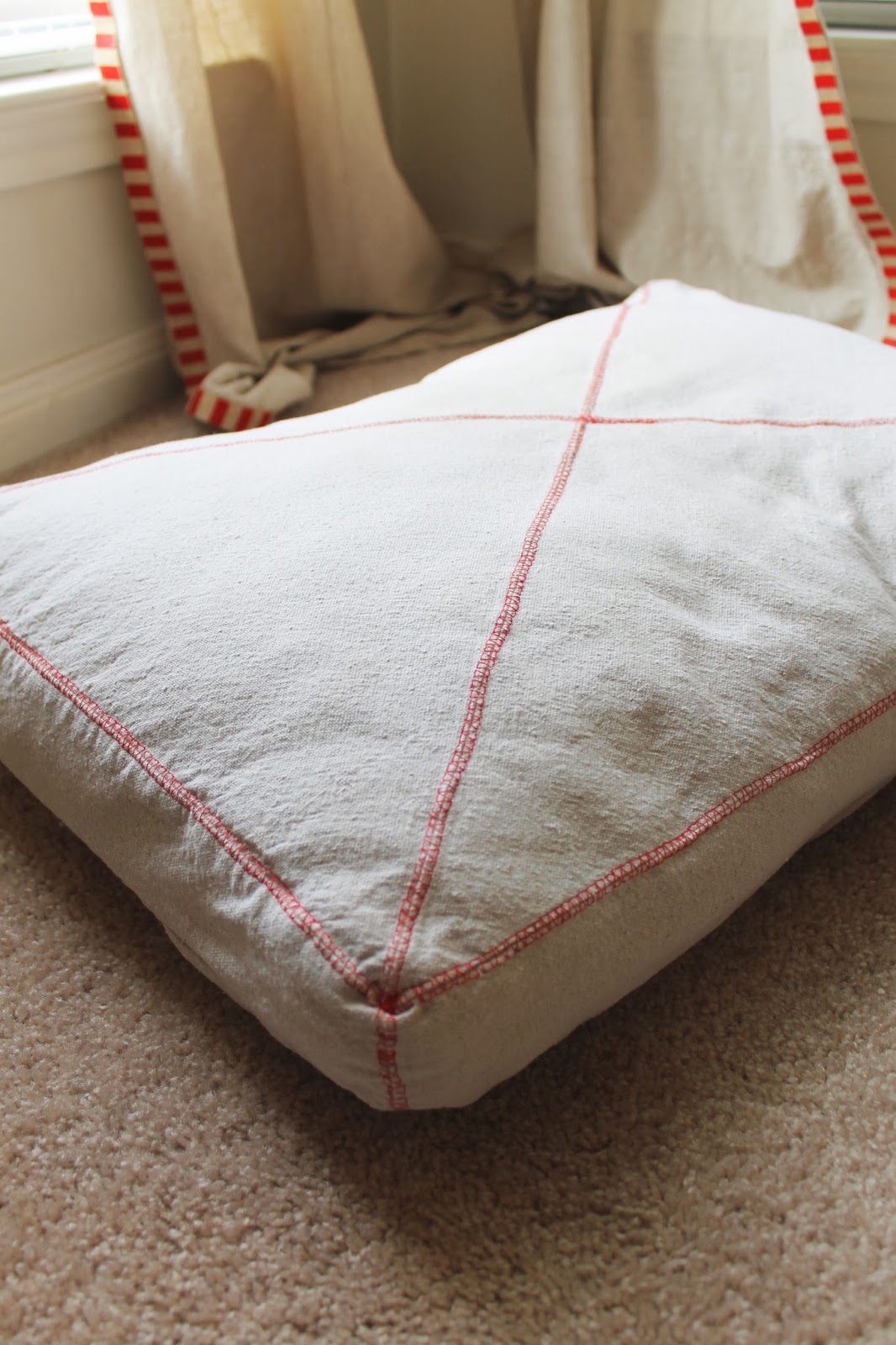 The ragged wren A Few Of My Favorite Things Dog Pillow