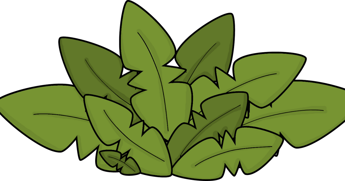 2nd the Best Measuring Around the Room