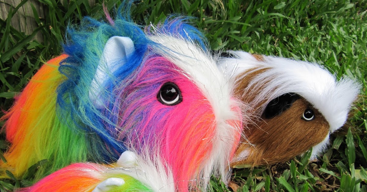 All Things Guinea Pig Plush Piggies