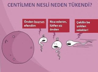 sperm-centilmen-nesil-neden-tukendi-2730-I3.jpg
