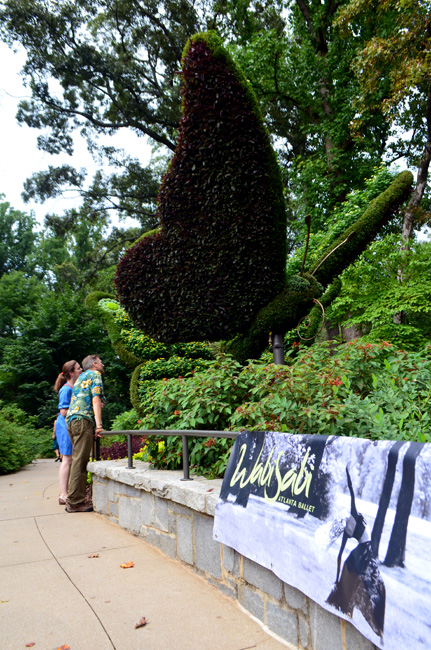 "Imaginary Worlds: Plants Larger Than Life", Atlanta Botanical Garden