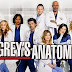 Grey's Anatomy  : Season 10, Episode 20