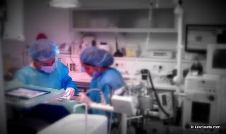 General anesthesia at the dental office allows to provide a confortable better dental treatment. dentist general anesthesia dental office treatment