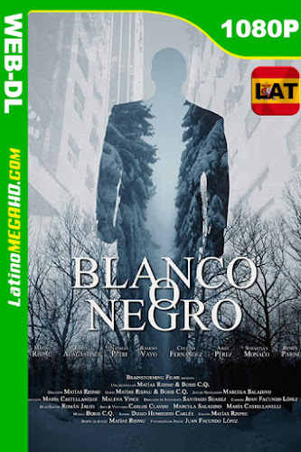 Blanco o negro (2016)  Latino HD WEB-DL 1080P ()