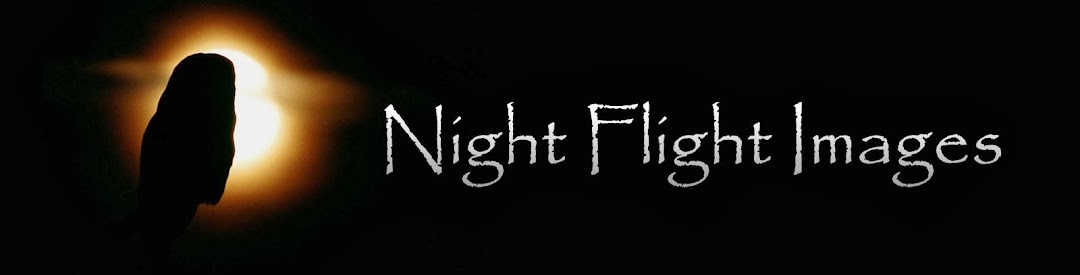 Night Flight Images