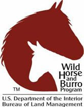 Wild Horse and Burro Program