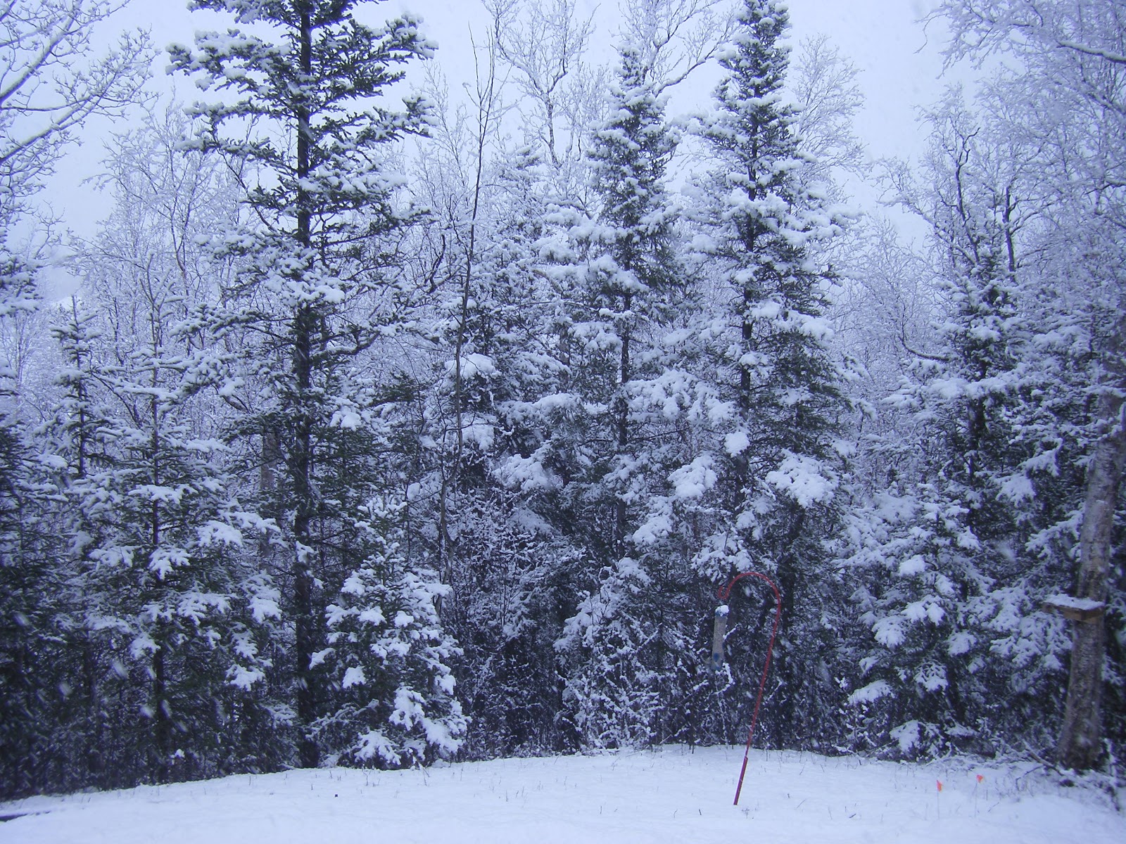 House For Sale MatSu Valley Alaska