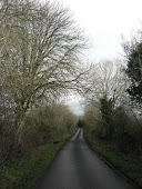 OLD BOG ROAD