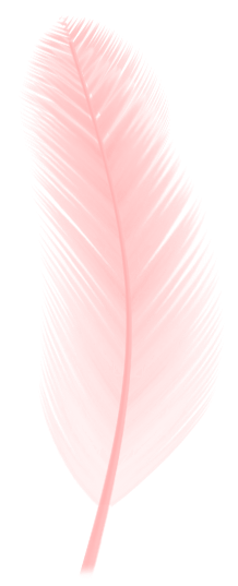 Bird Feathers | Random Girly Graphics