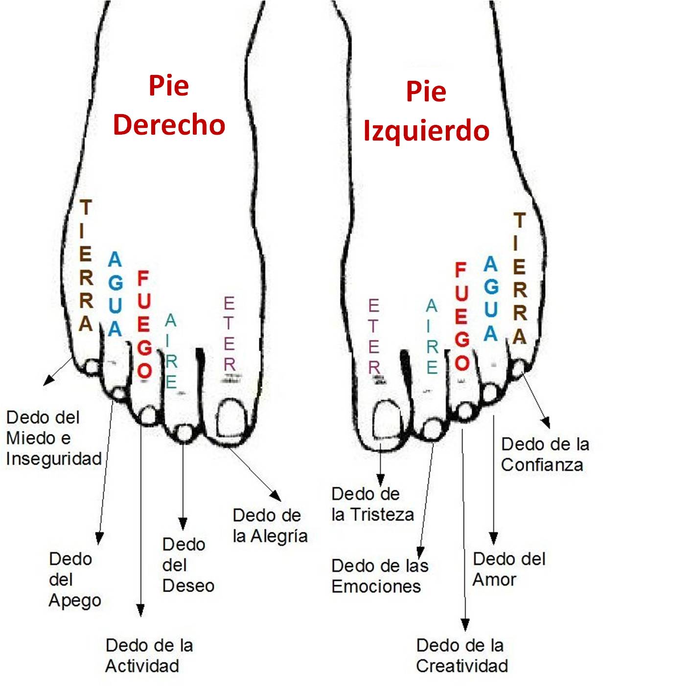 Sintético 92+ Foto Como Quitar Los Callos De Los Dedos De Los Pies Lleno