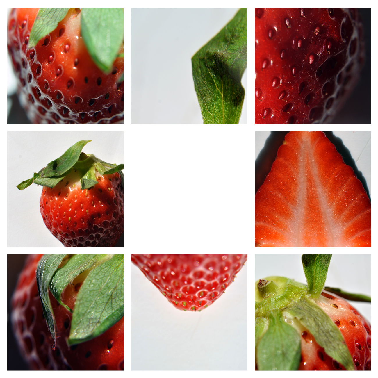 Designing Amanda has changed locations! Fruit Dissections An On