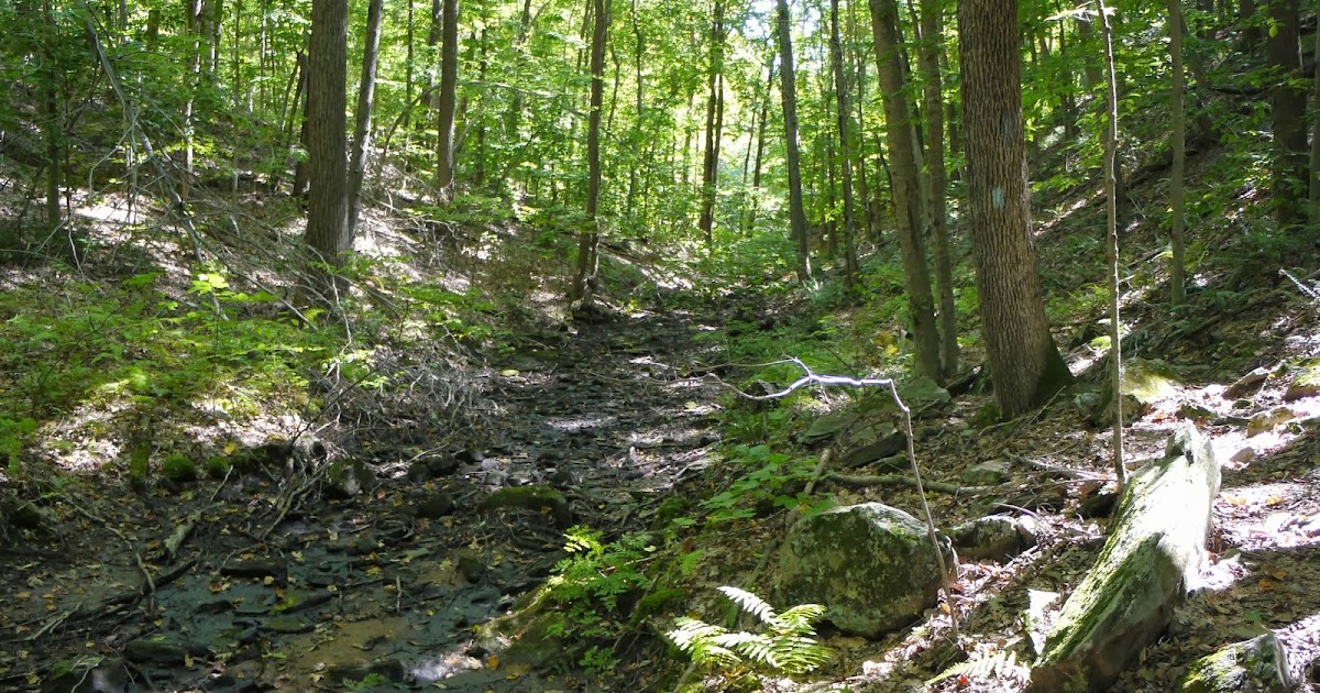 Along the NETCohos Mt. Pisgah, Durham