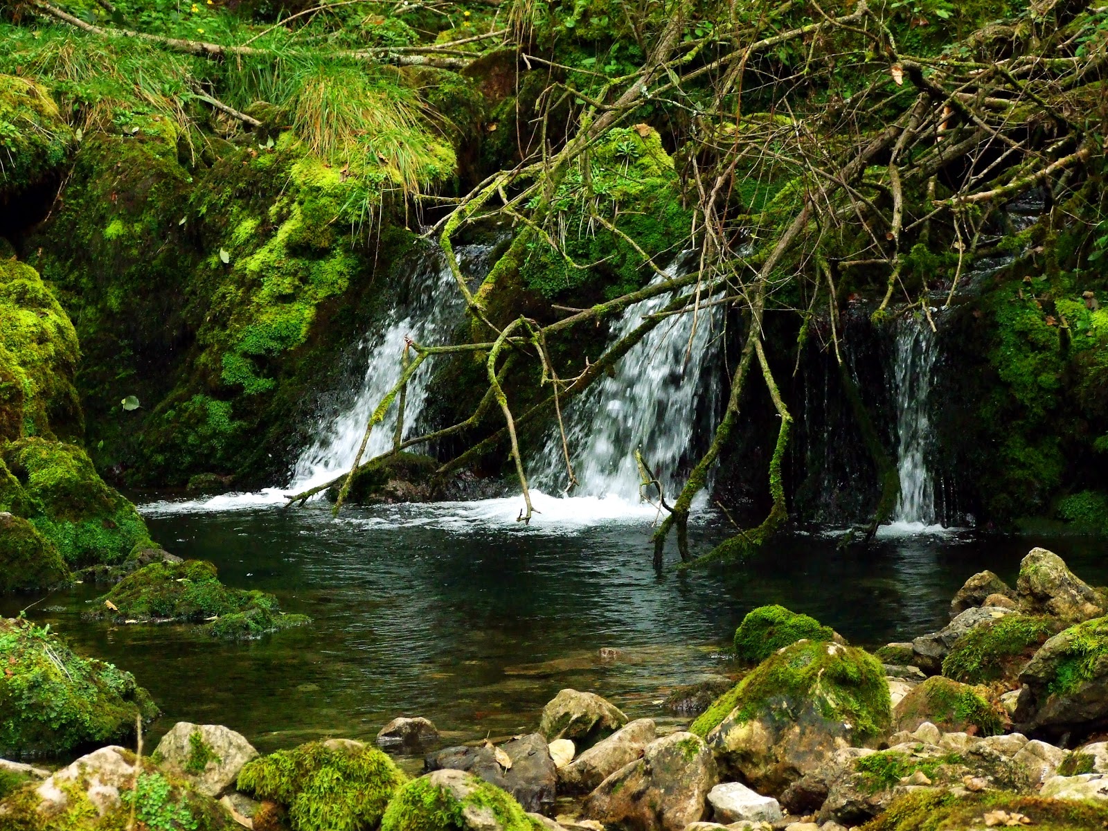 Foto de Manantial de Obaya en Colunga, Asturias