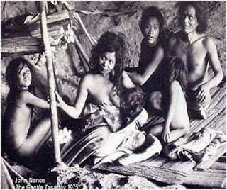 ng mga yumao ay nananahan sa mga puno, hangin, halaman at iba pa