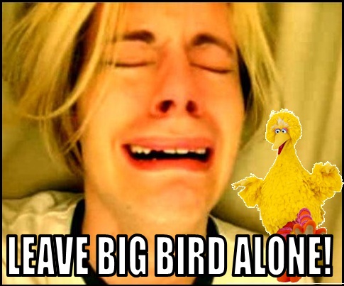 big-bird-romney.jpeg