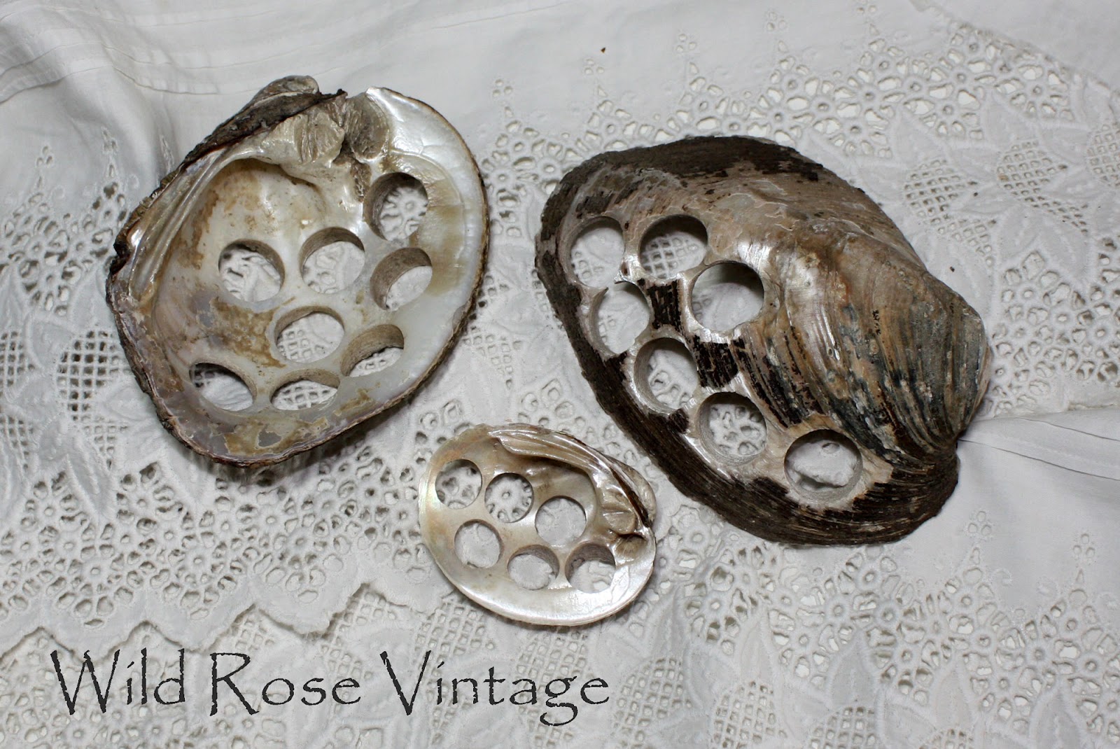 Wild Rose Vintage Pearl Button Shells