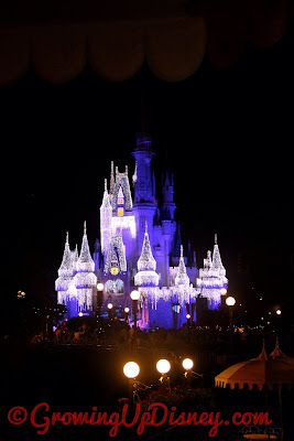 Cinderella Castle Dream Lights