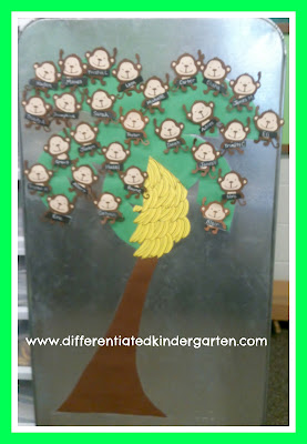 Differentiated Kindergarten Behavior System with Monkeys in a Tree (Behavior RoundUP via RainbowsWithinReach) photo of: Differentiated Kindergarten Behavior System with Monkeys in a Tree (Behavior RoundUP via RainbowsWithinReach)