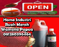 Red Fruit Khasiat manfaat buah merah
