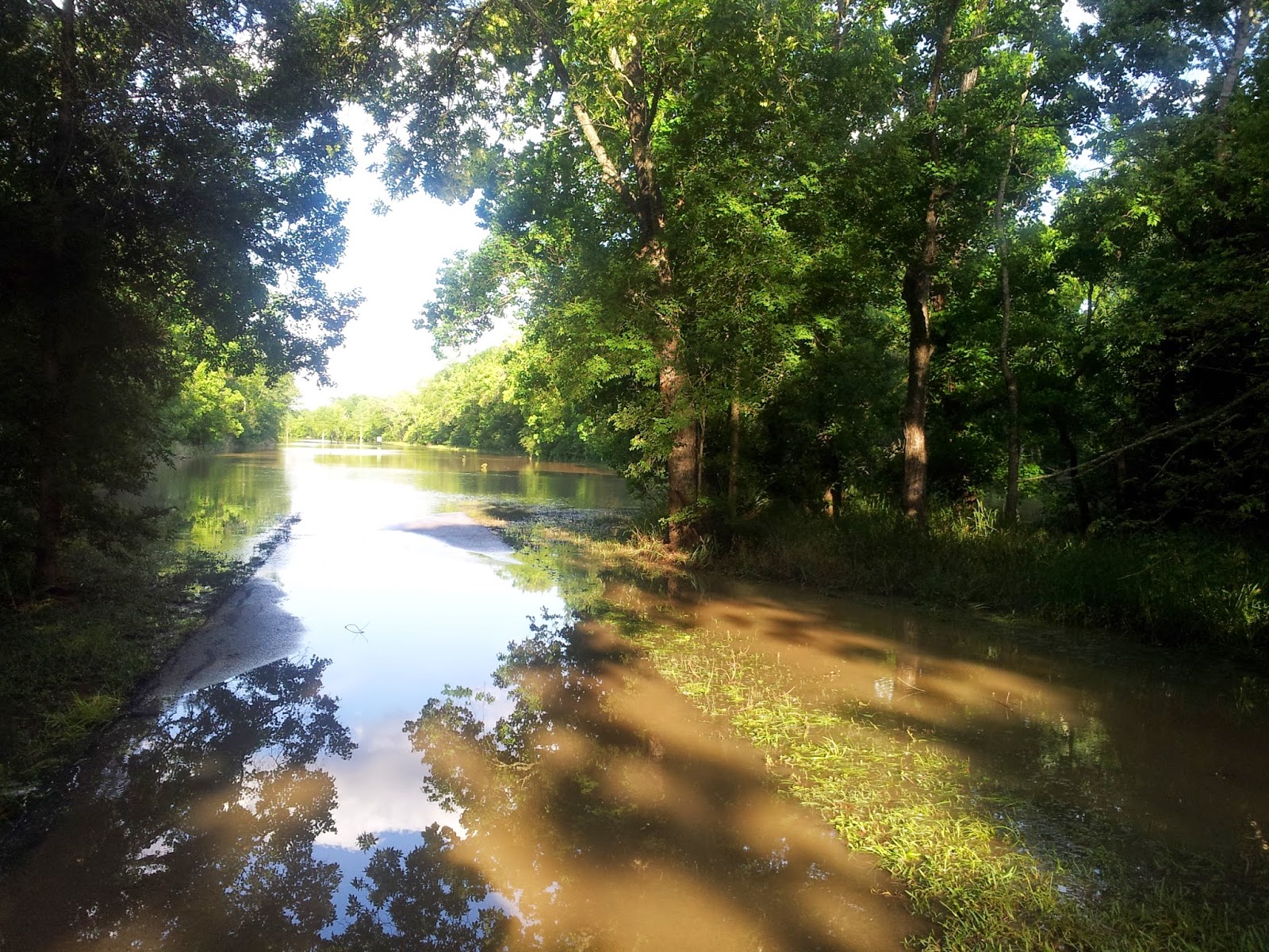 George Bush Park, Houston, Flooding