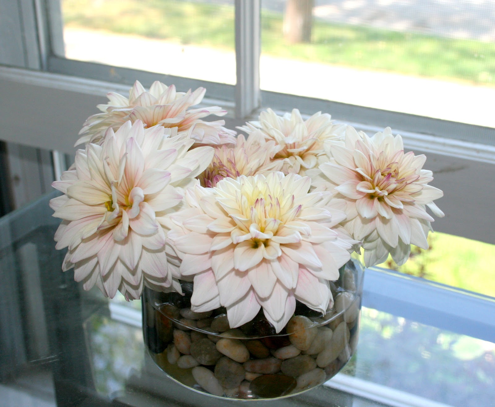 Inspirations by Faith Displaying Short Stemmed Flowers