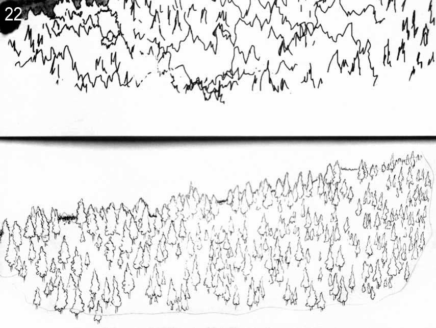 Nature Drawing and Journaling Trips : Step-by-step Watercolor Pencil